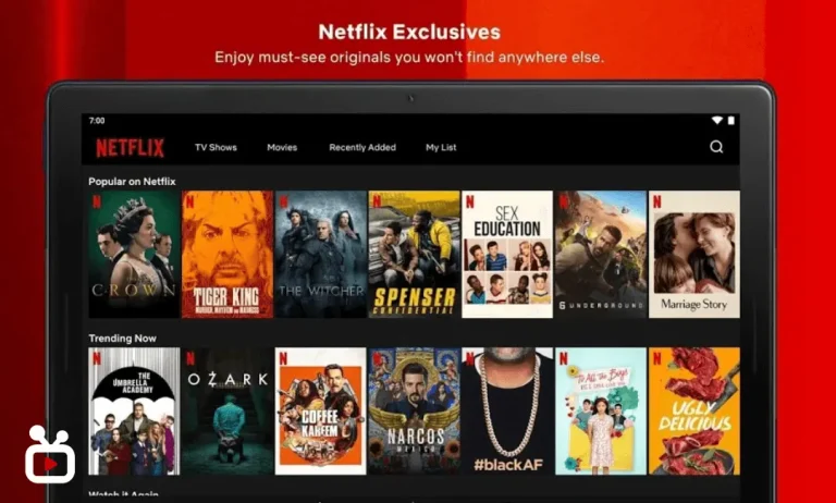 Introduction of NetFlix Mod APK